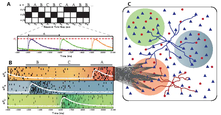 Visualization of the Simulation