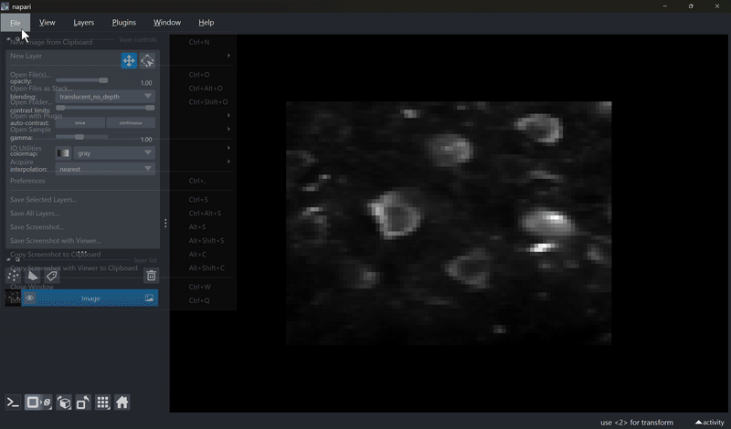 Load numpy file as label